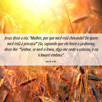 Picture 06 - João 20:15 BSL - Jesus disse a ela: “Mulher, por que você está - Bible Verse Picture