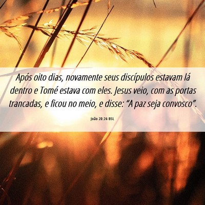 Picture 06 - João 20:26 BSL - Após oito dias, novamente seus discípulos - Bible Verse Picture