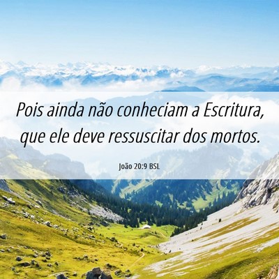 Picture 06 - João 20:9 BSL - Pois ainda não conheciam a Escritura, que ele - Bible Verse Picture
