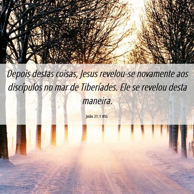 Picture 06 - João 21:1 BSL - Depois destas coisas, Jesus revelou-se novamente - Bible Verse Picture
