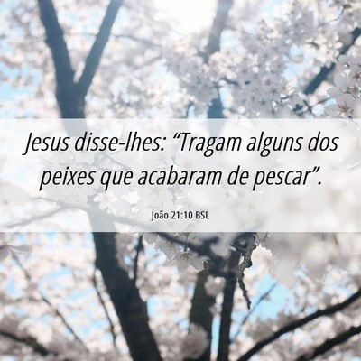 Picture 06 - João 21:10 BSL - Jesus disse-lhes: “Tragam alguns dos peixes que - Bible Verse Picture