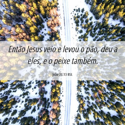 Picture 06 - João 21:13 BSL - Então Jesus veio e levou o pão, deu a eles, e o - Bible Verse Picture