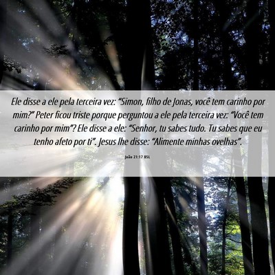 Picture 06 - João 21:17 BSL - Ele disse a ele pela terceira vez: “Simon, - Bible Verse Picture