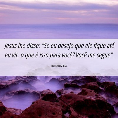 Picture 06 - João 21:22 BSL - Jesus lhe disse: “Se eu desejo que ele fique - Bible Verse Picture
