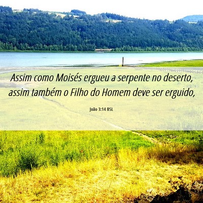 Picture 06 - João 3:14 BSL - Assim como Moisés ergueu a serpente no deserto, - Bible Verse Picture