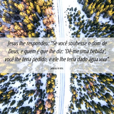 Picture 06 - João 4:10 BSL - Jesus lhe respondeu: “Se você soubesse o dom - Bible Verse Picture