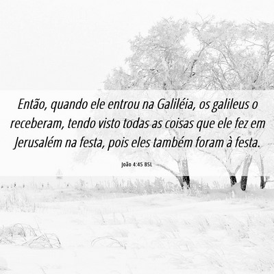 Picture 06 - João 4:45 BSL - Então, quando ele entrou na Galiléia, os - Bible Verse Picture