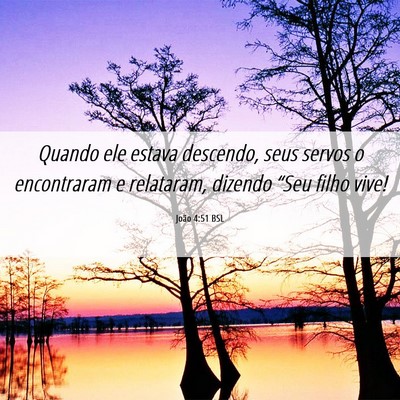 Picture 06 - João 4:51 BSL - Quando ele estava descendo, seus servos o - Bible Verse Picture