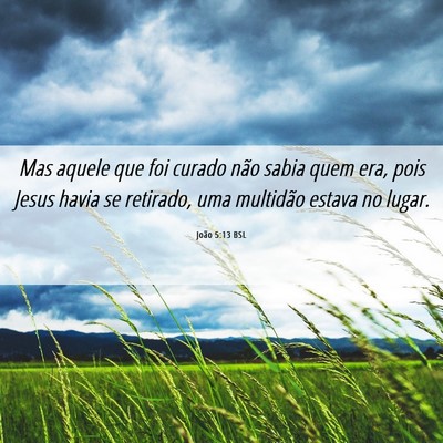 Picture 06 - João 5:13 BSL - Mas aquele que foi curado não sabia quem era, - Bible Verse Picture