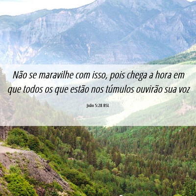 Picture 06 - João 5:28 BSL - Não se maravilhe com isso, pois chega a hora em - Bible Verse Picture