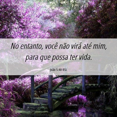 Picture 06 - João 5:40 BSL - No entanto, você não virá até mim, para que - Bible Verse Picture