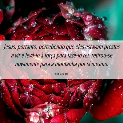 Picture 06 - João 6:15 BSL - Jesus, portanto, percebendo que eles estavam - Bible Verse Picture