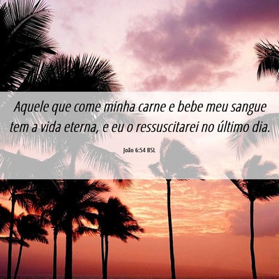 Picture 06 - João 6:54 BSL - Aquele que come minha carne e bebe meu sangue tem - Bible Verse Picture
