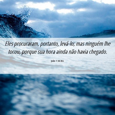 Picture 06 - João 7:30 BSL - Eles procuraram, portanto, levá-lo; mas ninguém - Bible Verse Picture