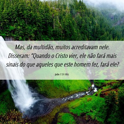 Picture 06 - João 7:31 BSL - Mas, da multidão, muitos acreditavam nele. - Bible Verse Picture