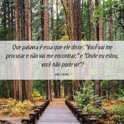 Picture 06 - João 7:36 BSL - Que palavra é essa que ele disse: “Você vai - Bible Verse Picture