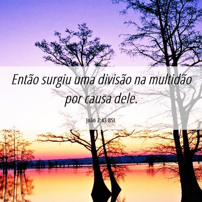 Picture 06 - João 7:43 BSL - Então surgiu uma divisão na multidão por causa - Bible Verse Picture