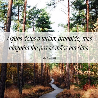 Picture 06 - João 7:44 BSL - Alguns deles o teriam prendido, mas ninguém lhe - Bible Verse Picture