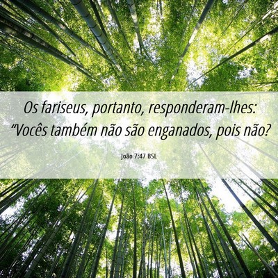 Picture 06 - João 7:47 BSL - Os fariseus, portanto, responderam-lhes: - Bible Verse Picture