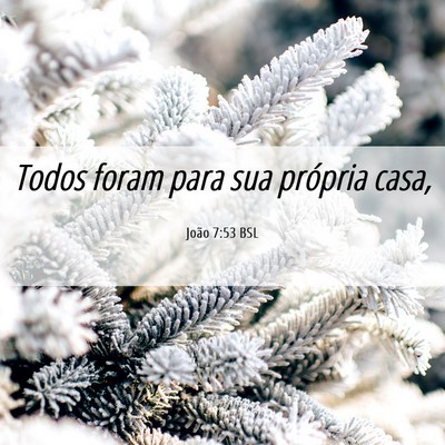 Picture 06 - João 7:53 BSL - Todos foram para sua própria - Bible Verse Picture