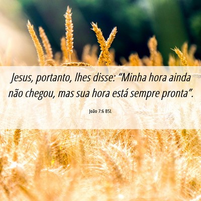 Picture 06 - João 7:6 BSL - Jesus, portanto, lhes disse: “Minha hora ainda - Bible Verse Picture