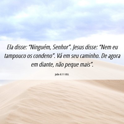 Picture 06 - João 8:11 BSL - Ela disse: “Ninguém, Senhor”. Jesus disse: - Bible Verse Picture