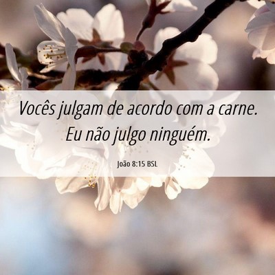 Picture 06 - João 8:15 BSL - Vocês julgam de acordo com a carne. Eu não - Bible Verse Picture