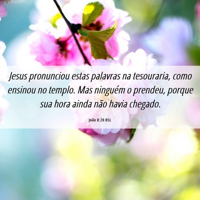 Picture 06 - João 8:20 BSL - Jesus pronunciou estas palavras na tesouraria, - Bible Verse Picture