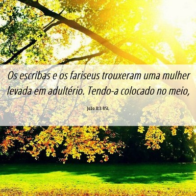 Picture 06 - João 8:3 BSL - Os escribas e os fariseus trouxeram uma mulher - Bible Verse Picture