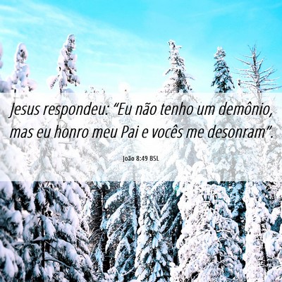 Picture 06 - João 8:49 BSL - Jesus respondeu: “Eu não tenho um demônio, - Bible Verse Picture