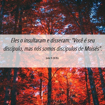 Picture 06 - João 9:28 BSL - Eles o insultaram e disseram: “Você é seu - Bible Verse Picture