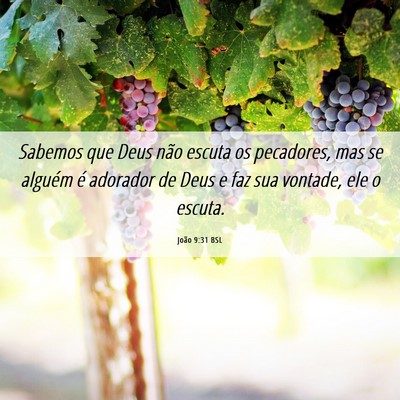 Picture 06 - João 9:31 BSL - Sabemos que Deus não escuta os pecadores, mas se - Bible Verse Picture