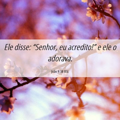 Picture 06 - João 9:38 BSL - Ele disse: “Senhor, eu acredito!” e ele o - Bible Verse Picture