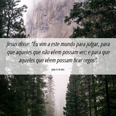 Picture 06 - João 9:39 BSL - Jesus disse: “Eu vim a este mundo para julgar, - Bible Verse Picture