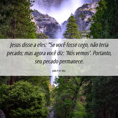 Picture 06 - João 9:41 BSL - Jesus disse a eles: “Se você fosse cego, não - Bible Verse Picture