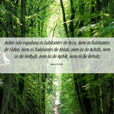 Picture 06 - Juízes 1:31 BSL - Asher não expulsou os habitantes de Acco, nem os - Bible Verse Picture