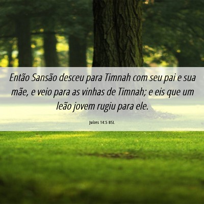 Picture 06 - Juízes 14:5 BSL - Então Sansão desceu para Timnah com seu pai e - Bible Verse Picture