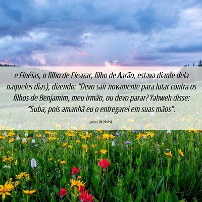 Picture 06 - Juízes 20:28 BSL - e Finéias, o filho de Eleazar, filho de Aarão, - Bible Verse Picture