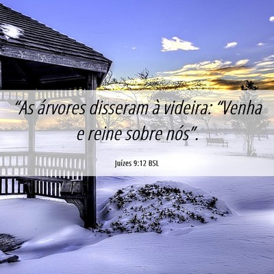 Picture 06 - Juízes 9:12 BSL - “As árvores disseram à videira: “Venha e - Bible Verse Picture