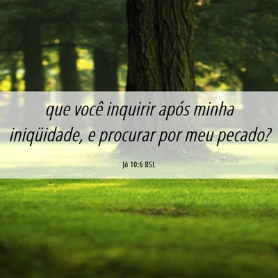 Picture 06 - Jó 10:6 BSL - que você inquirir após minha iniqüidade, e - Bible Verse Picture