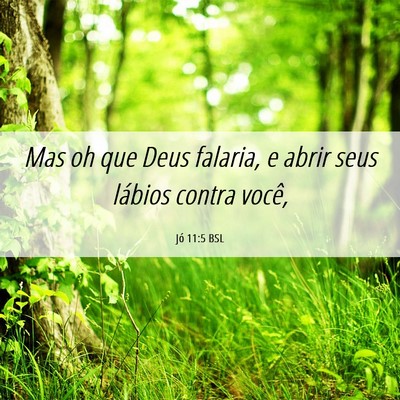Picture 06 - Jó 11:5 BSL - Mas oh que Deus falaria, e abrir seus lábios - Bible Verse Picture