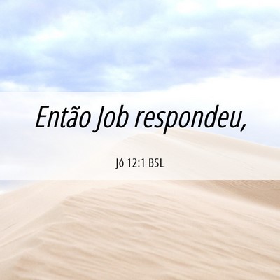 Picture 06 - Jó 12:1 BSL - Então Job - Bible Verse Picture