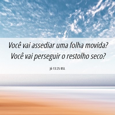 Picture 06 - Jó 13:25 BSL - Você vai assediar uma folha movida? Você vai - Bible Verse Picture