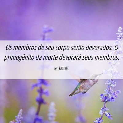 Picture 06 - Jó 18:13 BSL - Os membros de seu corpo serão devorados. O - Bible Verse Picture