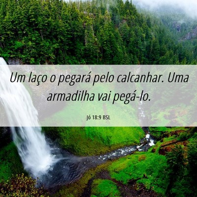 Picture 06 - Jó 18:9 BSL - Um laço o pegará pelo calcanhar. Uma armadilha - Bible Verse Picture