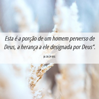 Picture 06 - Jó 20:29 BSL - Esta é a porção de um homem perverso de Deus, - Bible Verse Picture