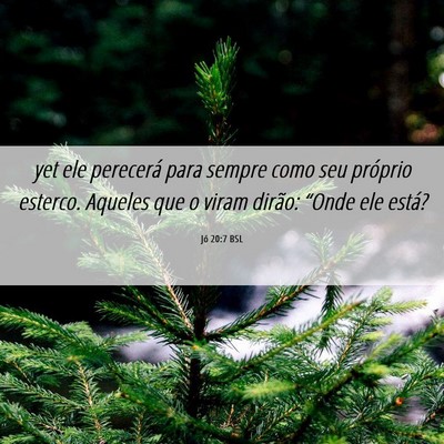 Picture 06 - Jó 20:7 BSL - yet ele perecerá para sempre como seu próprio - Bible Verse Picture