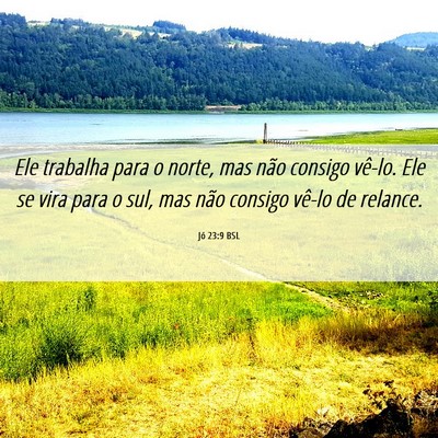 Picture 06 - Jó 23:9 BSL - Ele trabalha para o norte, mas não consigo - Bible Verse Picture