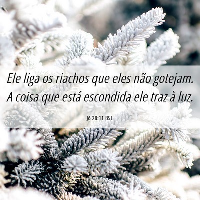 Picture 06 - Jó 28:11 BSL - Ele liga os riachos que eles não gotejam. A - Bible Verse Picture