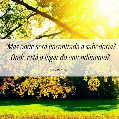 Picture 06 - Jó 28:12 BSL - “Mas onde será encontrada a sabedoria? Onde - Bible Verse Picture